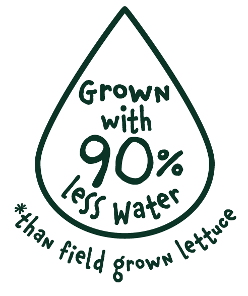 Water Conservation